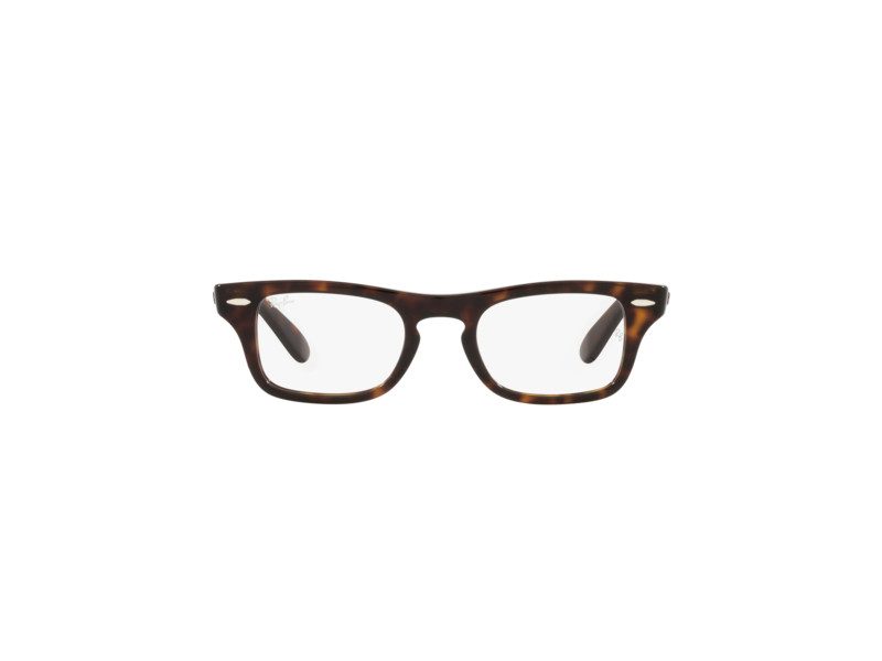 Ray-Ban Burbank Jr Glasögon RY 9083V 3887