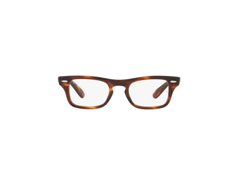 Ray-Ban Burbank Jr Glasögon RY 9083V 3888